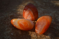 Polished  Mini Carnelian Agate Tumble Stones  x 1 Kg Lot From Madagascar