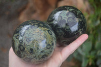 Polished Stromatolite / Kambamba Jasper Spheres  x 3 From Madagascar - Toprock Gemstones and Minerals 