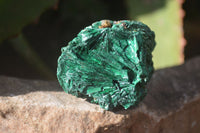 Natural Chatoyant Silky Malachite Specimens  x 12 From Kasompe, Congo