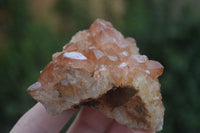 Natural Golden Limonite / Lemonite Quartz Clusters  x 12 From Zambia - TopRock