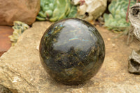 Polished Extra Large Labradorite Sphere & Palisandre Rose Wood Stand  x 1 From Tulear, Madagascar - TopRock