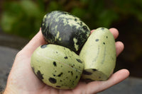 Polished Leopard Stone Standing Free Forms  x 12 From Nyanga & Shamva, Zimbabwe - TopRock