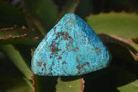 Polished Blue Shattuckite Free Forms  x 6 From Erongo, Namibia