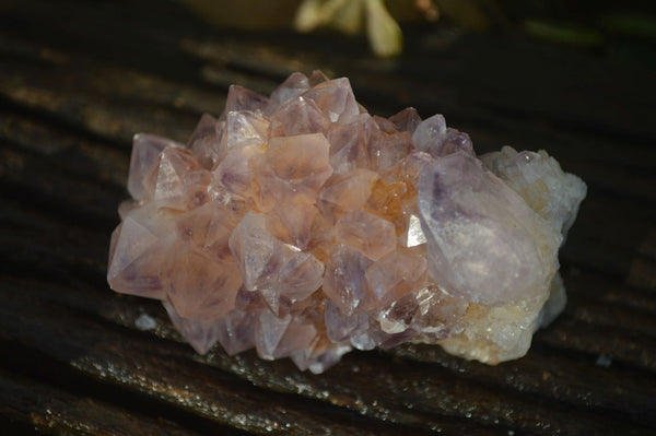 Natural Mixed Spirit Amethyst Quartz Clusters  x 6 From Boekenhouthoek, South Africa - Toprock Gemstones and Minerals 