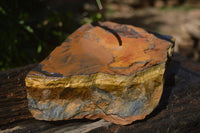 Natural Golden Blue Tigers Eye Specimens  x 2 From Prieska, South Africa - TopRock