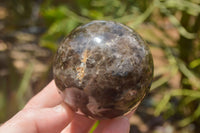 Polished Morion Smokey Quartz Spheres x 3 From Madagascar - TopRock