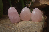 Polished Pink Rose Quartz Standing Free Forms x 3 From Antsirabe, Madagascar