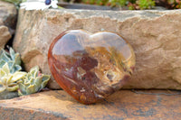 Polished Petrified Red Podocarpus Wood Hearts  x 2 From Mahajanga, Madagascar - TopRock