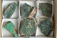 Natural Micro Botryoidal Malachite on Matrix Specimens x 6 From Tenke Fungurume, Congo - TopRock