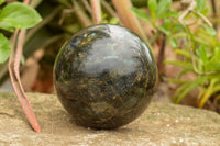 Polished Extra Large Labradorite Sphere & Palisandre Rose Wood Stand  x 1 From Tulear, Madagascar - TopRock