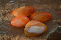 Polished  Mini Carnelian Agate Tumble Stones  x 1 Kg Lot From Madagascar