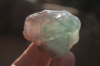 Natural Rough Watermelon Fluorite Cobbed Specimens  x 24 From Uis, Namibia