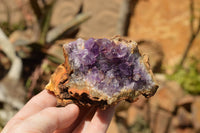 Natural Amethyst & Basalt Geode Specimens  x 6 From Zululand, South Africa - TopRock