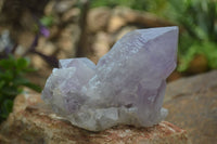 Natural Jacaranda Amethyst Clusters  x 3 From Mumbwa, Zambia - Toprock Gemstones and Minerals 