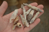 Natural Drusy Quartz Coated Pseudomorph Crystals  x 70 From Alberts Mountain, Lesotho - TopRock