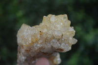 Natural Golden Limonite / Lemonite Quartz Clusters  x 12 From Zambia - TopRock