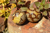 Polished Septarian (Calcite & Aragonite) Spheres  x 5 From Mahajanga, Madagascar - TopRock