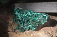 Natural Chatoyant Silky Malachite Specimens  x 12 From Kasompe, Congo - Toprock Gemstones and Minerals 