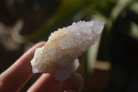 Natural Pale Lilac Spirit Quartz Crystals x 35 From Boekenhouthoek, South Africa