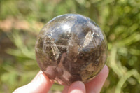 Polished Morion Smokey Quartz Spheres x 3 From Madagascar - TopRock