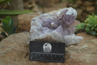 Natural Jacaranda Amethyst Cluster x 1 From Mumbwa, Zambia - TopRock