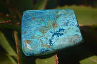 Polished Blue Shattuckite Free Forms  x 6 From Erongo, Namibia