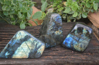 Polished Flashy Labradorite Standing Free Forms  x 3 From Tulear, Madagascar - TopRock