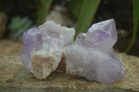 Natural Jacaranda Amethyst Clusters  x 6 From Mumbwa, Zambia - Toprock Gemstones and Minerals 