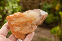 Natural Red Hematoid Phantom Quartz Specimens  x 6 From Karoi, Zimbabwe - TopRock