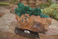 Natural Dioptase Specimen With Bladed Malachite & Azurite  x 1 From Likasi, Congo