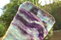 Polished Semi Translucent Watermelon Fluorite Slices x 2 From Uis, Namibia - TopRock