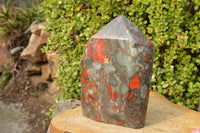 Polished Huge Bloodstone (Seftonite) Point With Pyrite Specks  x 1 From Swaziland - TopRock