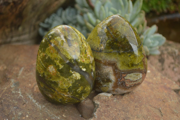 Polished Large Green Opal Standing Free Forms  x 6 From Madagascar - TopRock