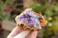 Natural Amethyst & Basalt Geode Specimens  x 6 From Zululand, South Africa - TopRock