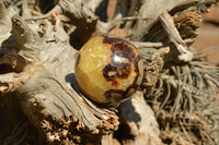 Polished Septarian (Calcite & Aragonite) Spheres  x 5 From Mahajanga, Madagascar - TopRock