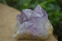 Natural Jacaranda Amethyst Clusters  x 3 From Mumbwa, Zambia - Toprock Gemstones and Minerals 