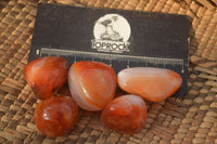 Polished  Mini Carnelian Agate Tumble Stones  x 1 Kg Lot From Madagascar