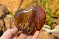 Polished Petrified Red Podocarpus Wood Hearts  x 2 From Mahajanga, Madagascar - TopRock