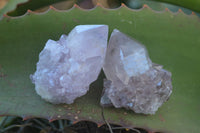 Natural Spirit Amethyst Quartz Crystals x 20 From Boekenhouthoek, South Africa