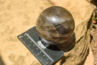 Polished Morion Smokey Quartz Spheres x 3 From Madagascar - TopRock