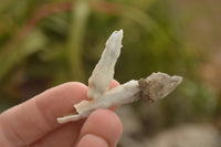 Natural Drusy Quartz Coated Pseudomorph Crystals  x 70 From Alberts Mountain, Lesotho - TopRock