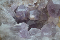 Natural Jacaranda Amethyst Cluster x 1 From Mumbwa, Zambia - TopRock