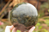 Polished Extra Large Labradorite Sphere & Palisandre Rose Wood Stand  x 1 From Tulear, Madagascar - TopRock