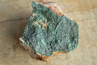 Natural Micro Botryoidal Malachite on Matrix Specimens x 6 From Tenke Fungurume, Congo - TopRock