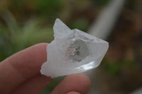 Natural Single Etched Clear Quartz Crystals  x 35 From Mpika, Zambia - Toprock Gemstones and Minerals 