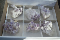 Natural Sugar Amethyst Clusters  x 6 From Solwezi, Zambia