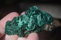 Natural Chatoyant Silky Malachite Specimens  x 12 From Kasompe, Congo - Toprock Gemstones and Minerals 