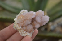 Natural Selected Mixed Spirit Quartz Clusters  x 35 From Boekenhouthoek, South Africa - TopRock