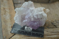 Natural Jacaranda Amethyst Clusters  x 6 From Mumbwa, Zambia - Toprock Gemstones and Minerals 