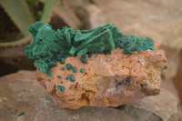 Natural Dioptase Specimen With Bladed Malachite & Azurite  x 1 From Likasi, Congo